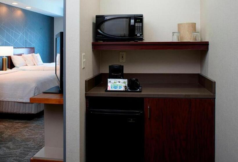 Студия Стандарт, Springhill Suites By Marriott Frankenmuth