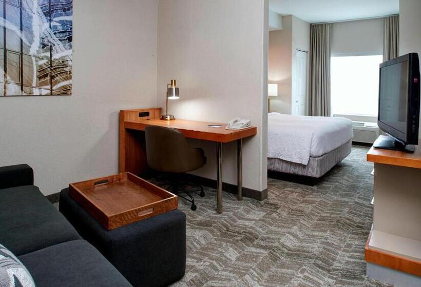Студио Стандарт Кровать Кинг, Springhill Suites By Marriott Frankenmuth