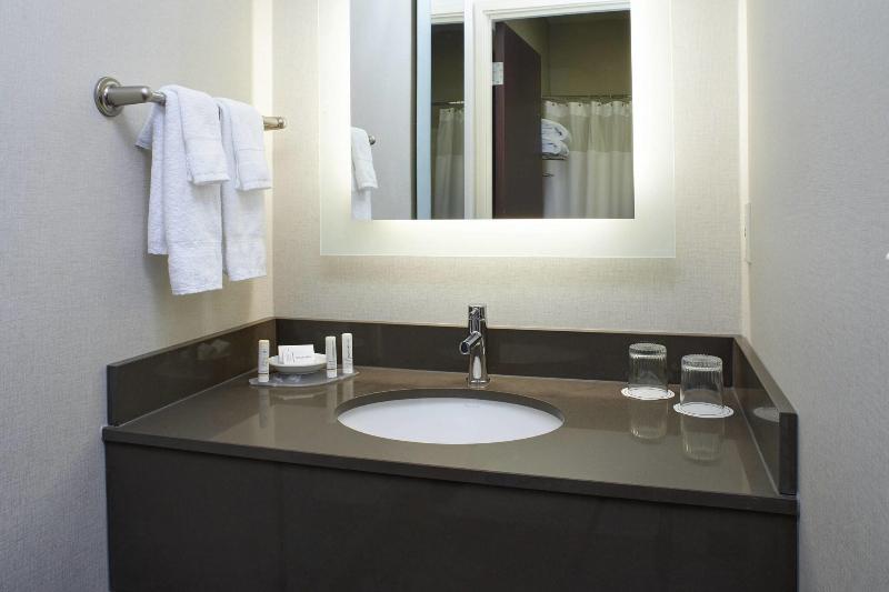Студио Стандарт Кровать Кинг, Springhill Suites By Marriott Frankenmuth
