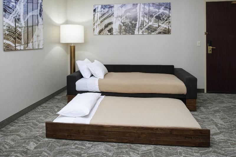 Студио Стандарт Кровать Кинг, Springhill Suites By Marriott Frankenmuth