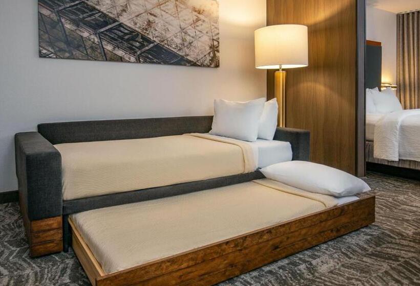 标准工作室, Springhill Suites By Marriott Hershey Near The Park