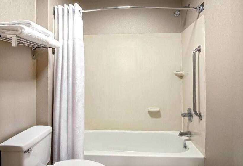 标准工作室, Springhill Suites By Marriott Hershey Near The Park
