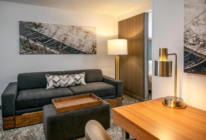 标准工作室, Springhill Suites By Marriott Hershey Near The Park