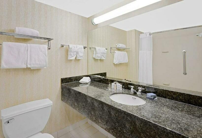 Pokój Standard Łóżko King Size, Comfort Inn & Suites Arlington Heights   Schaumburg
