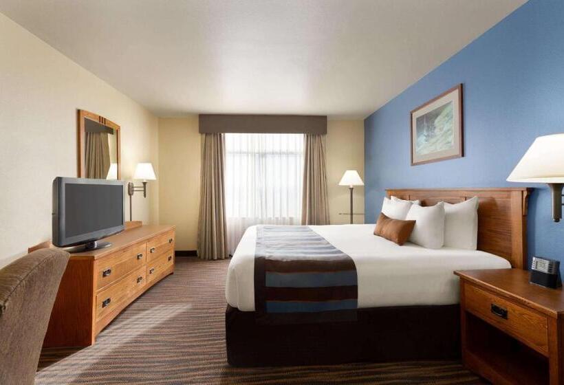 Стандартный Номер Кровать Кинг, Wingate By Wyndham Denver Tech Center