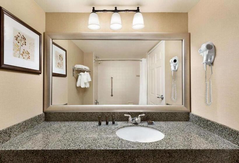 Номер Deluxe Кровать Кинг, Wingate By Wyndham Denver Tech Center