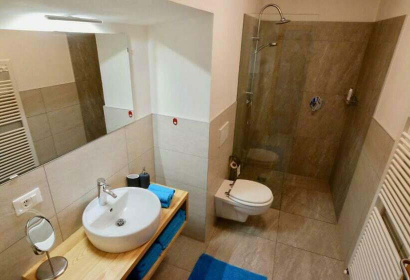 Апартаменты 1 Спальня с Видом, Agriturismo Reinhof