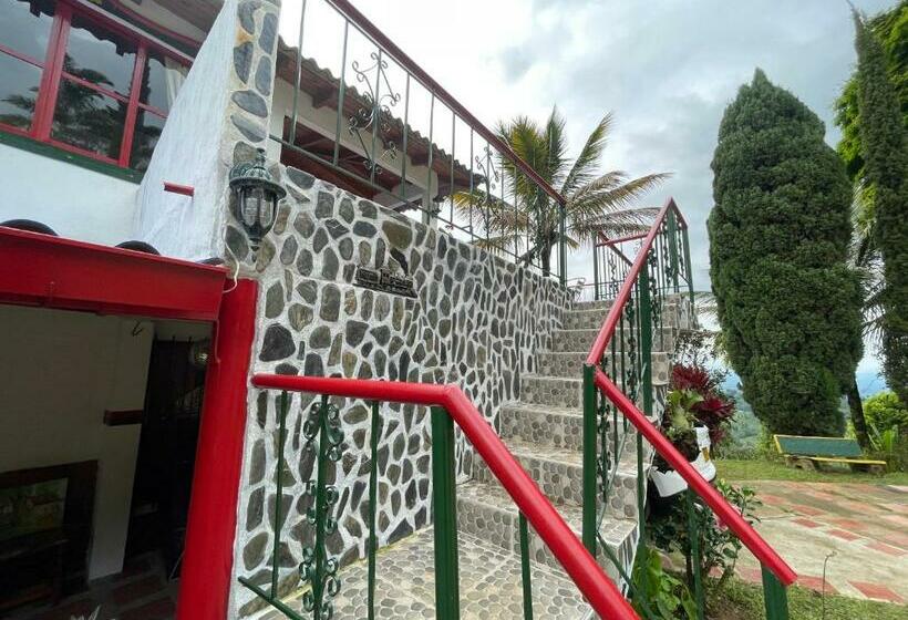 Номер Стандарт, El Gran Mirador
