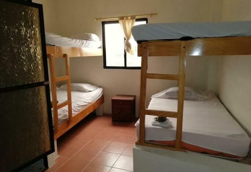 클래식 4인 룸, Auto Hostal Jaramisol