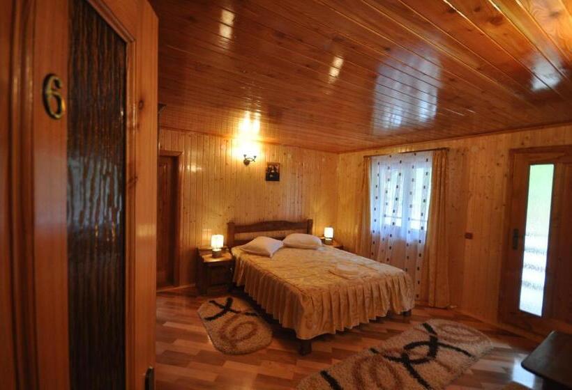 Номер Стандарт, Cabana Sargetia