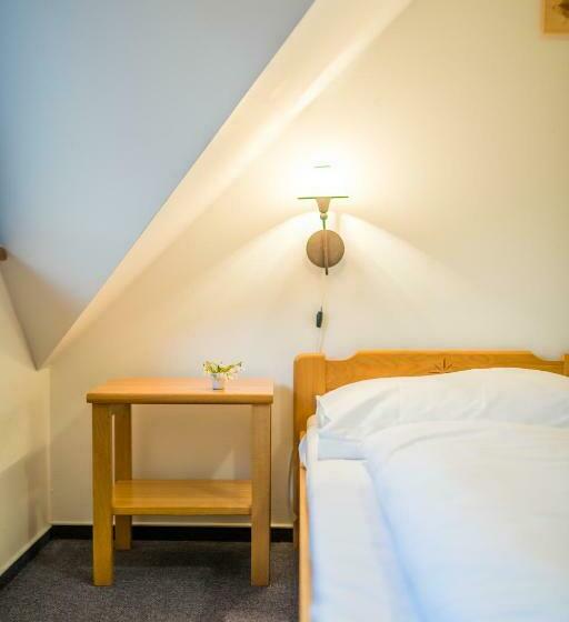 Четырехместный Номер Стандарт, Horský Hotel Kohútka