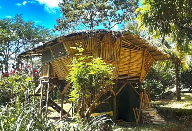 Шале 1 Спальня, Finca La Magia