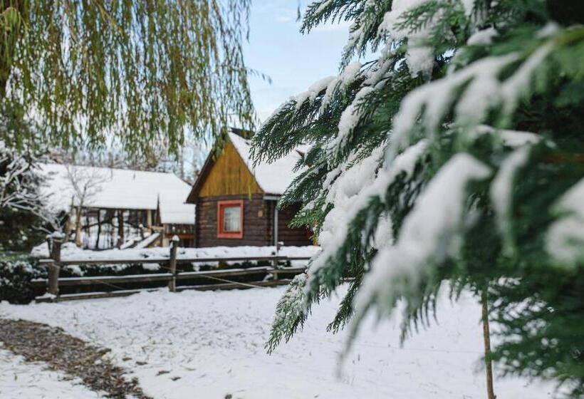 Дом 1 Спальня, Kolyba Opryshkiv