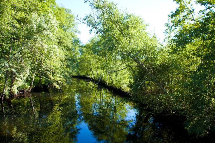 Бунгало Стандарт 2 Спальни, Retiro Da Arminda