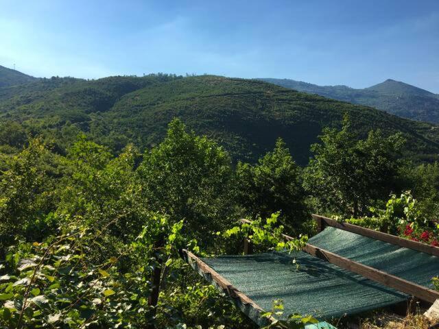 Номер Deluxe, Retiro Da Arminda