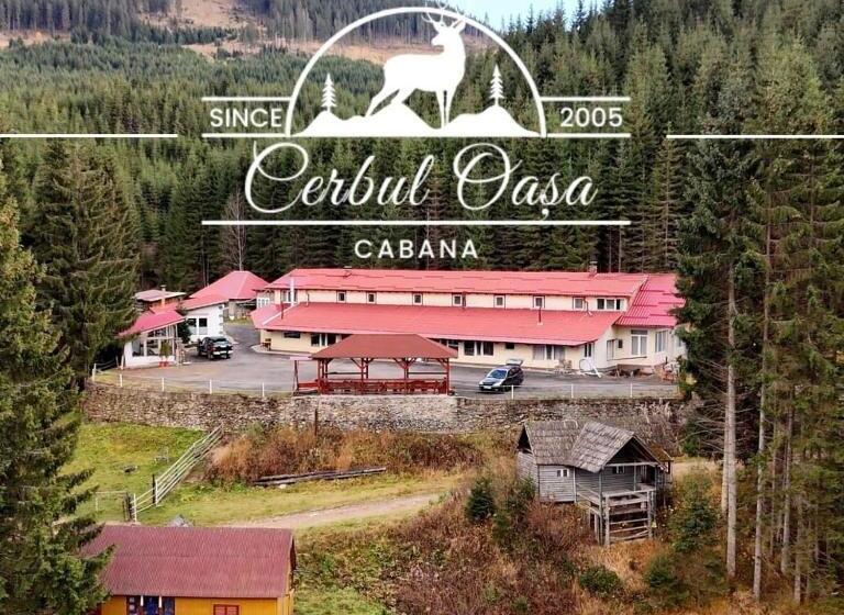 Номер Стандарт, Cabana Cerbul Oasa Transalpina
