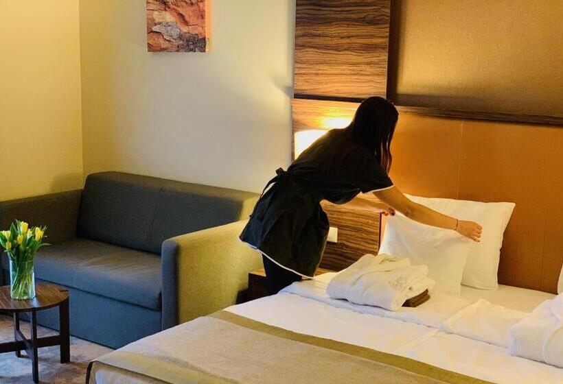 Номер Superior, Barack Thermal Hotel And Spa
