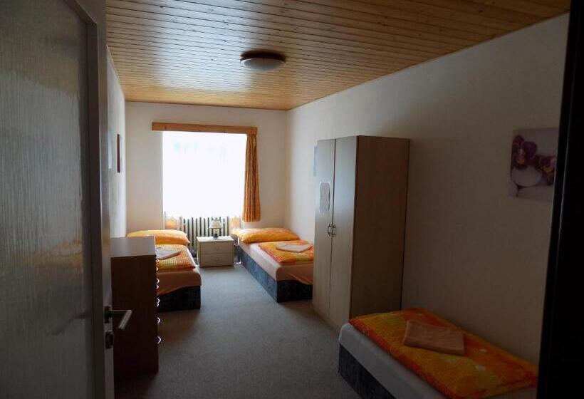 低层单卧公寓, Ubytování Apartmány Ferenčíková