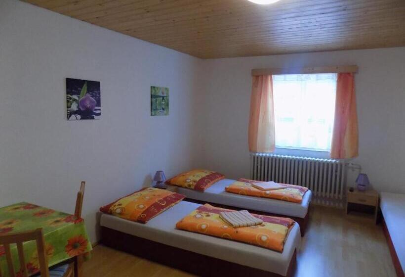 标准三人间外部浴室, Ubytování Apartmány Ferenčíková