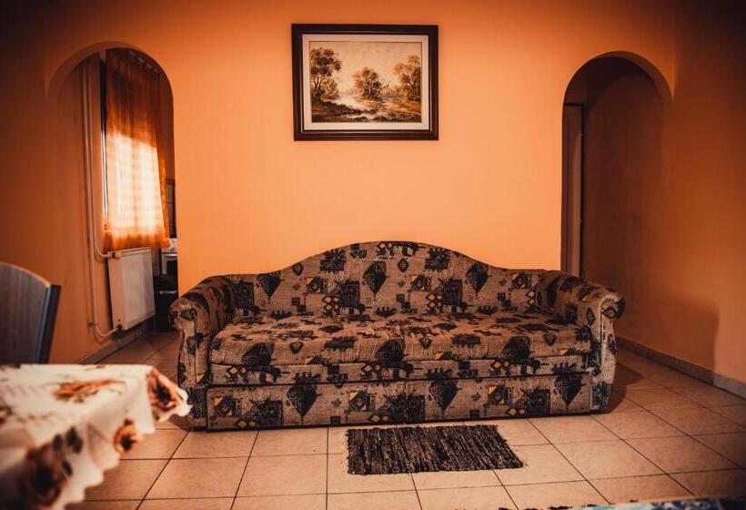 Семейное Студио, Veronika Guesthouse