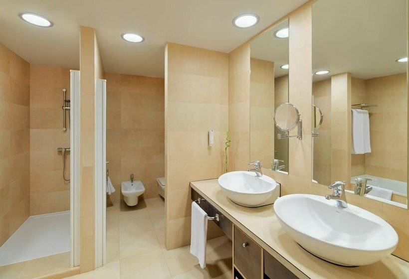 Полулюкс, Adrián Hoteles Roca Nivaria