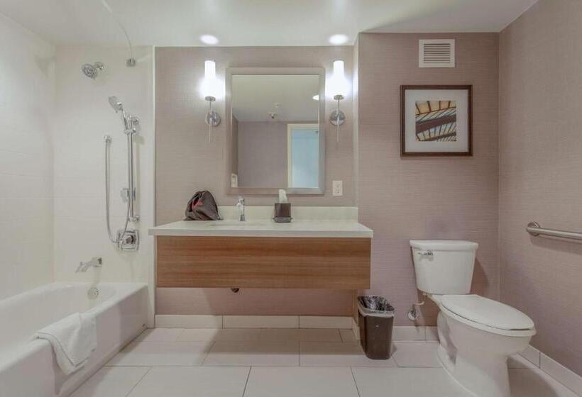 장애인용 디럭스룸, Sonesta Anaheim Resort Area
