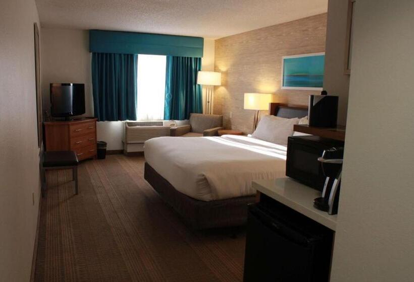 이그제큐티브 룸 킹사이즈 침대, Sonesta Anaheim Resort Area