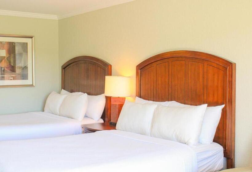 수피리어 룸, Cape Cod Irish Village   The Emerald Resort