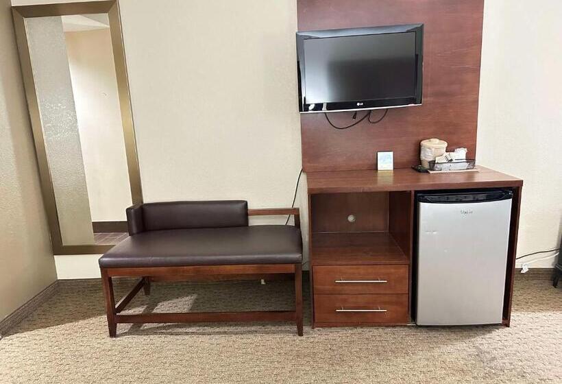 Люкс, Vista Suites Near Leconte Convention Center