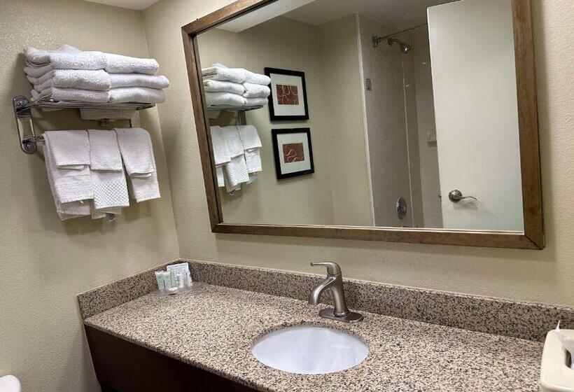 Люкс Кровать Кинг, Vista Suites Near Leconte Convention Center