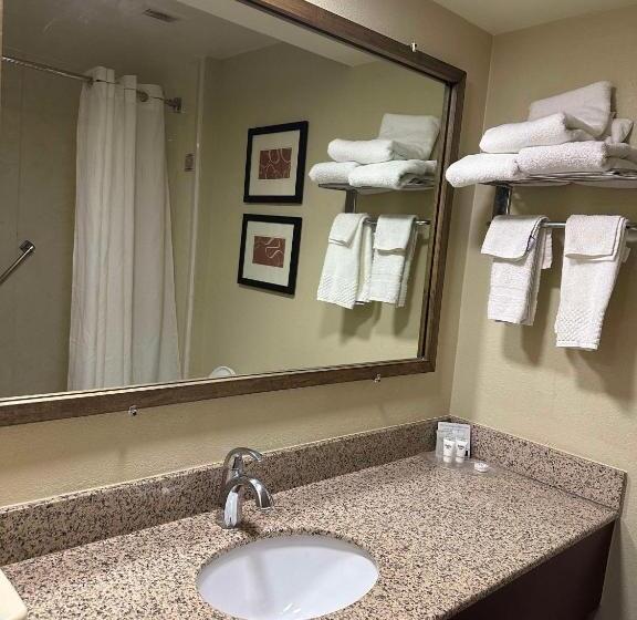 Люкс Адаптированный для Инвалидов, Vista Suites Near Leconte Convention Center