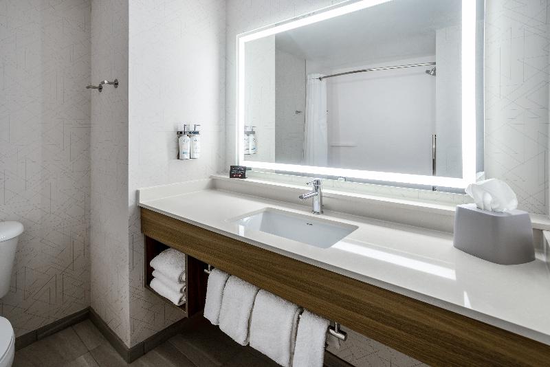 Standart Oda, Holiday Inn Express And Suites Tampa I 75 At Bruce B. Downs, An Ihg