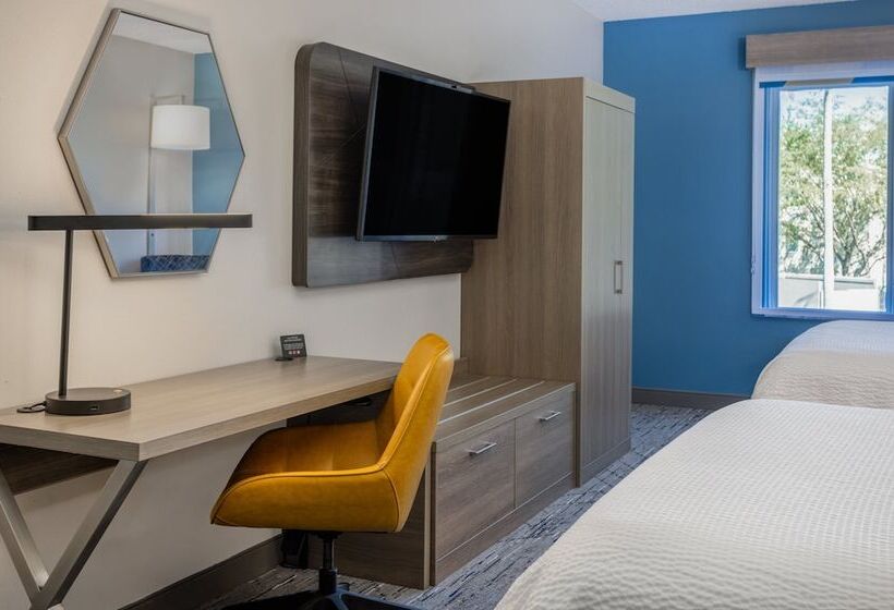 Standart Oda, Holiday Inn Express And Suites Tampa I 75 At Bruce B. Downs, An Ihg