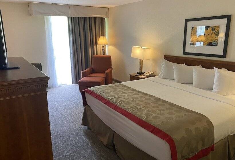 Habitación Superior Vista Montaña, Ramada By Wyndham Albuquerque Midtown