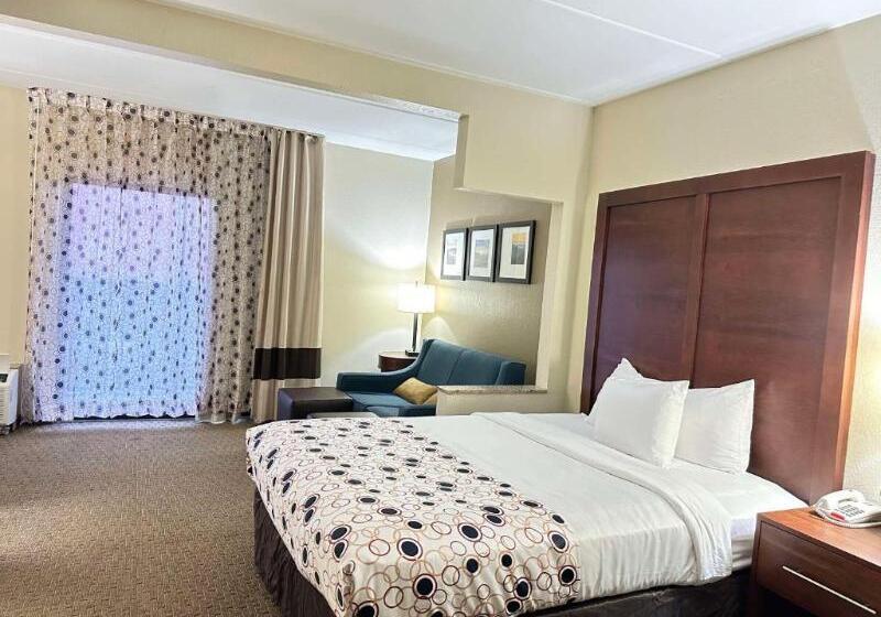 Люкс Кровать Кинг, Vista Suites Near Leconte Convention Center