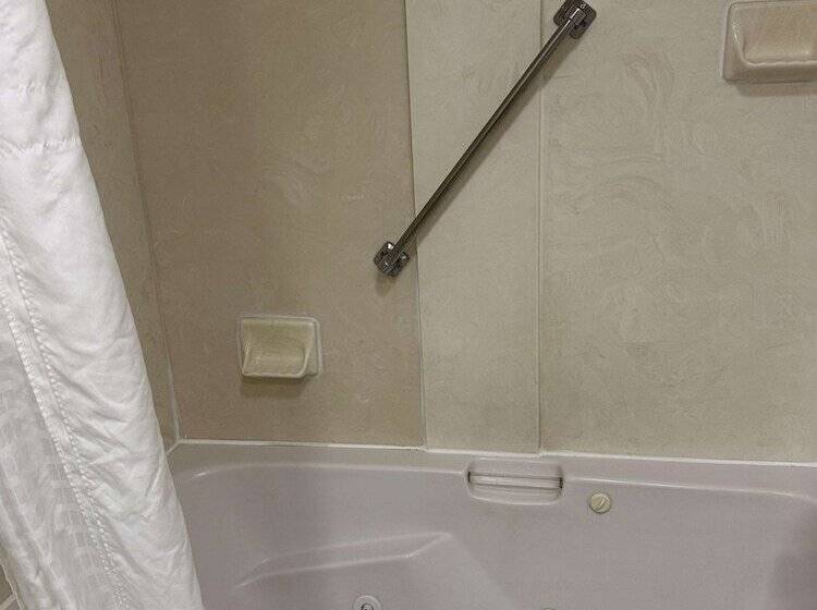 Люкс Адаптированный для Инвалидов, Vista Suites Near Leconte Convention Center