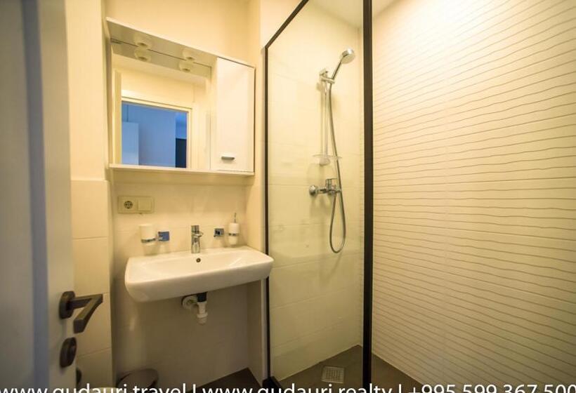 1 Schlafzimmer Deluxe Apartment, New Gudauri Lofts By Gudauri Travel