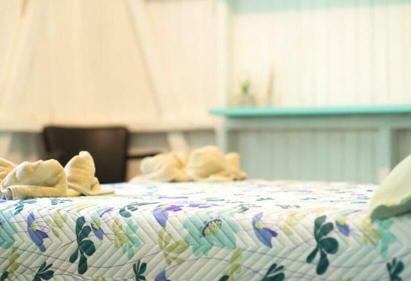 Quarto Estandar Banheiro Compartilhado, Madre Selva Hostel