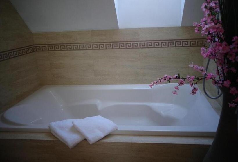 آپارتمان 1 خوابه, Penzion Marriot