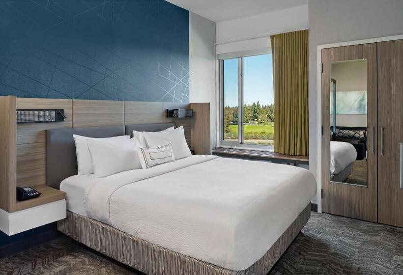 带大床的套房, Springhill Suites By Marriott West Sacramento