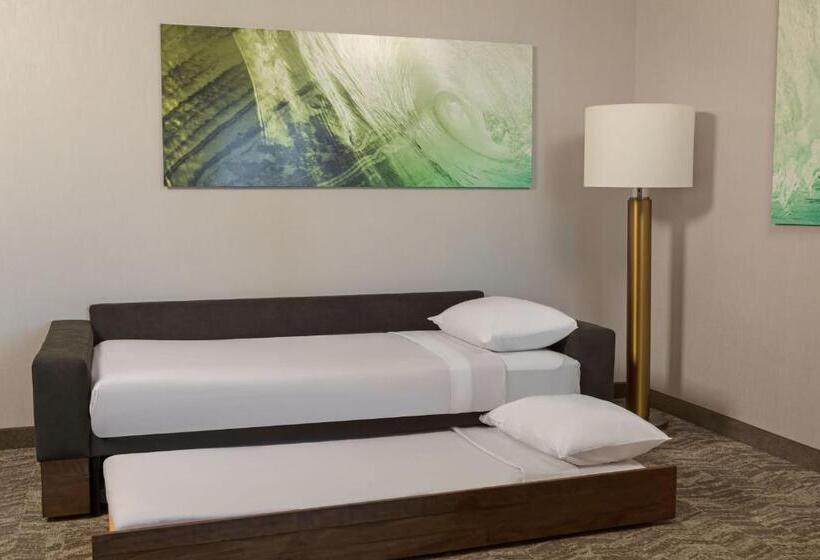 带大床的套房, Springhill Suites By Marriott West Sacramento