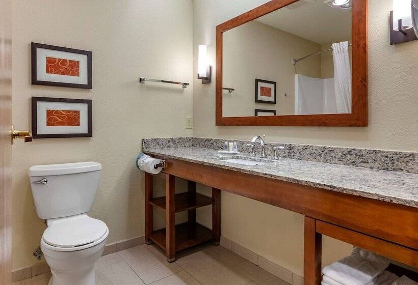 Люкс, Comfort Suites