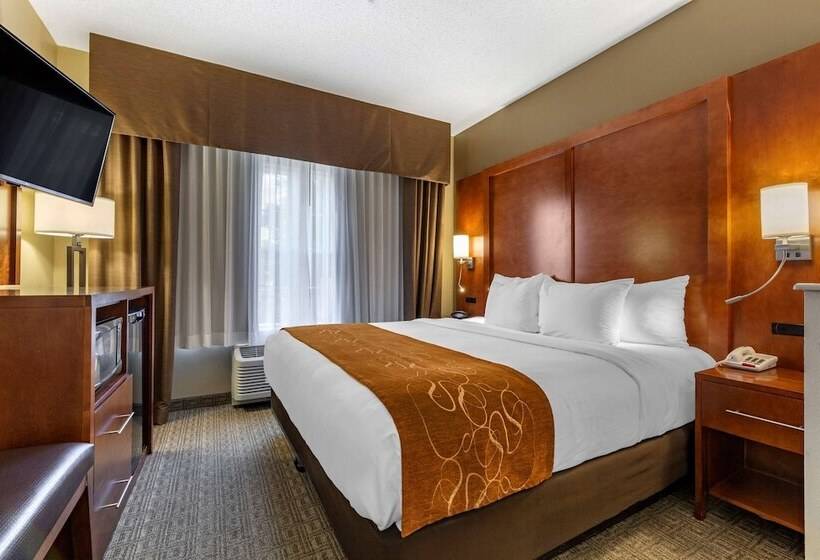 Люкс, Comfort Suites