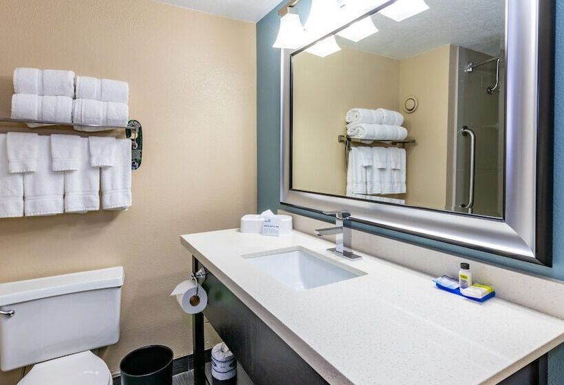 سوییت, Holiday Inn Express Boise Downtown, An Ihg