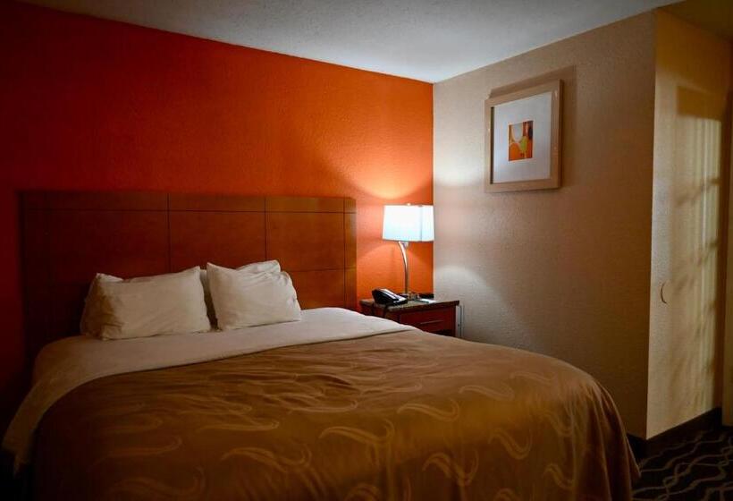 带大床的套房, Quality Inn & Suites I 35 Near Frost Bank Center