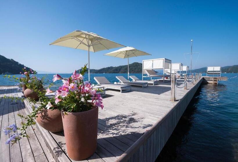 Полулюкс с Бассейном, D Resort Gocek Special Category