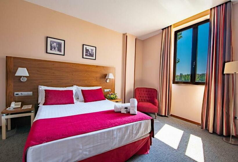标准间, Hospedium Hotel Casino Del Tormes