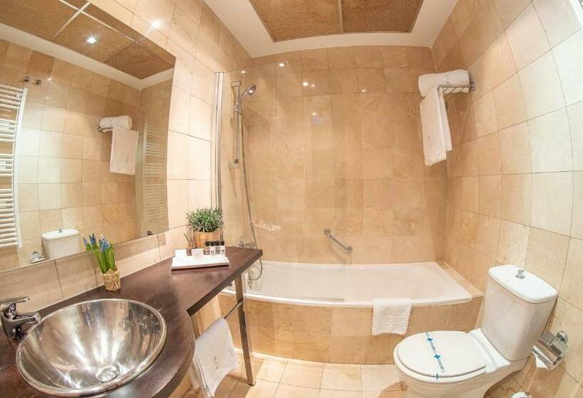 标准间, Hospedium Hotel Casino Del Tormes