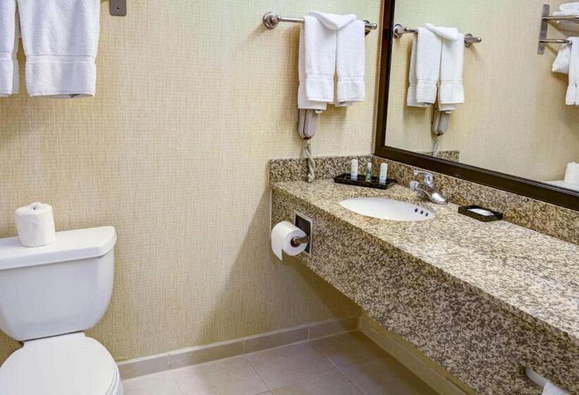 اتاق استاندارد, Tilt Hotel Universal Hollywood, Ascend Hotel Collection