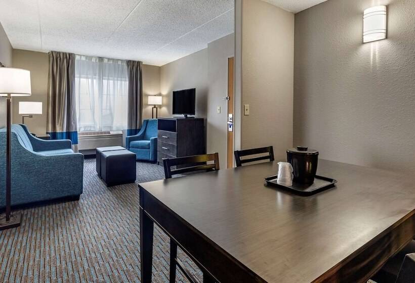 Люкс Адаптированный для Инвалидов, Comfort Inn